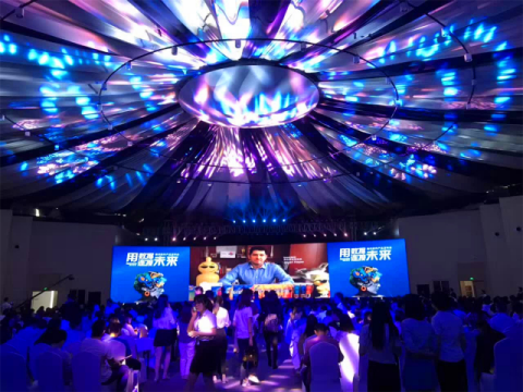 案例|“用数据连接未来”南讯软件2017产品发布会 杭州伍方会议